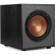 Klipsch R-100SW 10